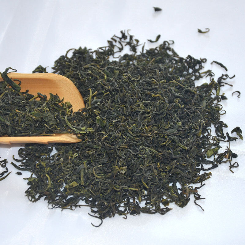 Rizhao Green Tea New Tea Strong Fragrance and Brewing Resistance 500g/1.1lb