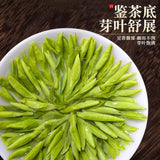 Mingqian Longjing Green Tea 2025 New Spring Tea Gift Box Small Can