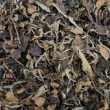 White Tea 50g/can First Spring Tea Loose White Tea Fuding Baihao Yinzhen Fuding