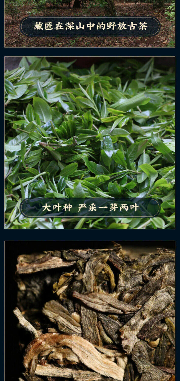 Iceland Gold Bar Ancient Tree Tea Pu'er Tea Raw Tea Yunnan Lincang Tea Brick