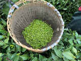 2025 First Flush Longjing Tea Premium Grade 50g Fresh Hangzhou Origin