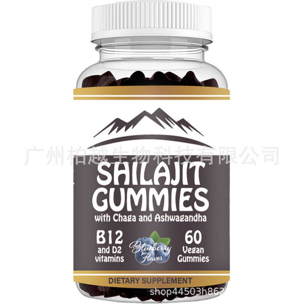 Shilajit Gummies Potent Antioxidant Immune Support Overall Health 60 Gummies