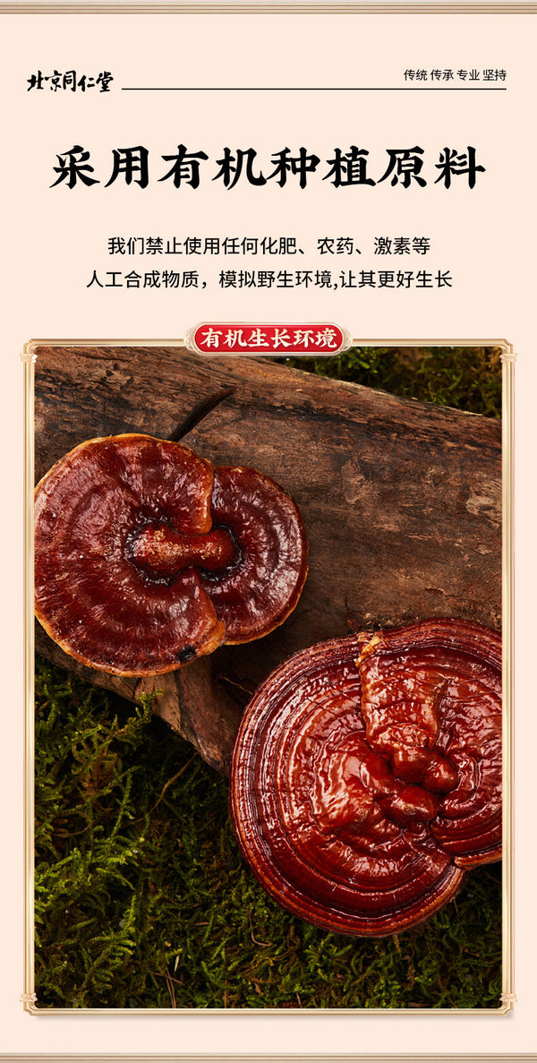 Genuine Organic Broken Wall Ganoderma Lucidum Spore Powder 1g*10 Sachets