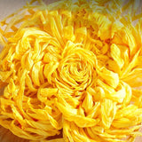 Our Tea Collection Boasting Tieguanyin, Pu'er, and Distinctive Blends