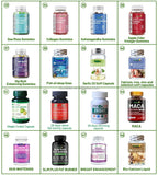 Health Immunity Support Probiotic Powder Probiotics Powder Instant Probiotics