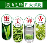 Tianfang Green Tea 150g Huangshan Mao Feng Spring Tea High Mountain Aroma