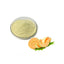 Cantaloupe Fruit Honeydew Hami Melon Extract Powder Water Soluble Beverage