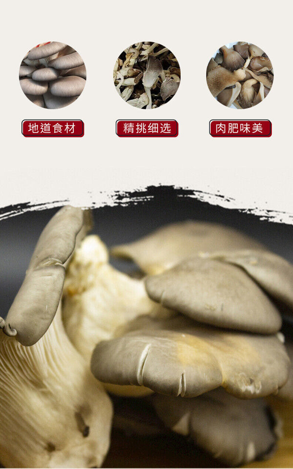 Fresh Oyster Mushroom Strips Phoenix Tail Mushroom Yunnan Farm Wholesale