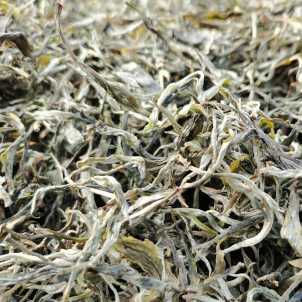 200g Fenghuangwo Ancient Tree Tea Organic Spring Tea Weight Loss Healthy Drink