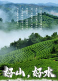 50g/250g Premium Autumnal Anxi Tie Guan Yin Oolong Tea Fragrant and Flavorful