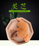 Changbai Mountain Ganoderma Lucidum Red Lingzhi Purple Lingzhi Edible Fungi 500g