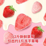 Yogurt Bites Fruit Snack 170g Can Freeze-Dried Strawberry with Chocolate