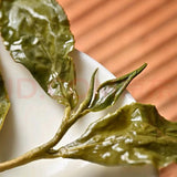 Taiwan Li Mountain Tea Fresh Aroma High Mountain Dong Ding Oolong7.5g Loose Leaf