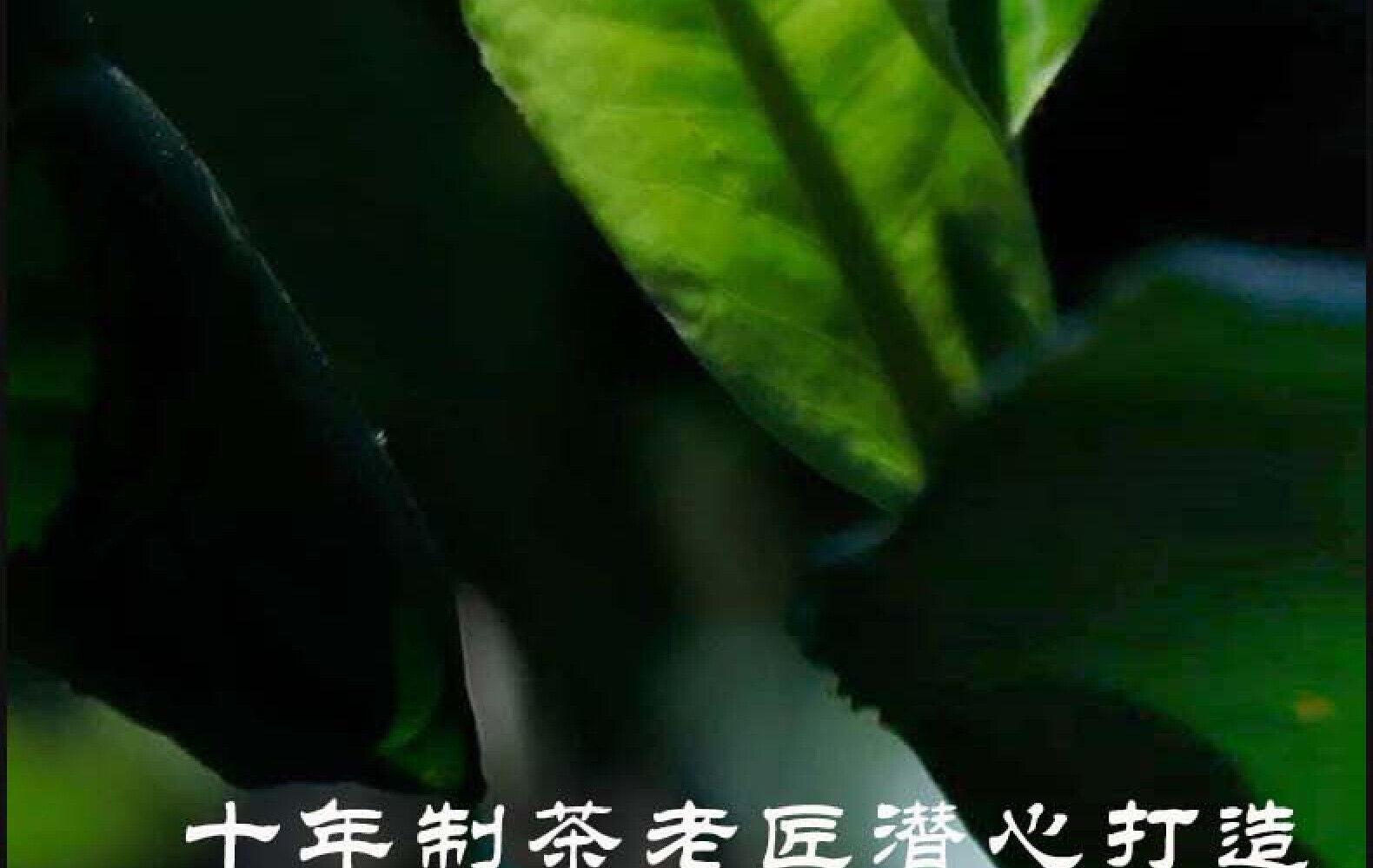 Yunnan Pu'er Tea Mengku Lincang Icelandic Raw Tea Cake Tea 357g Ancient Tree Tea