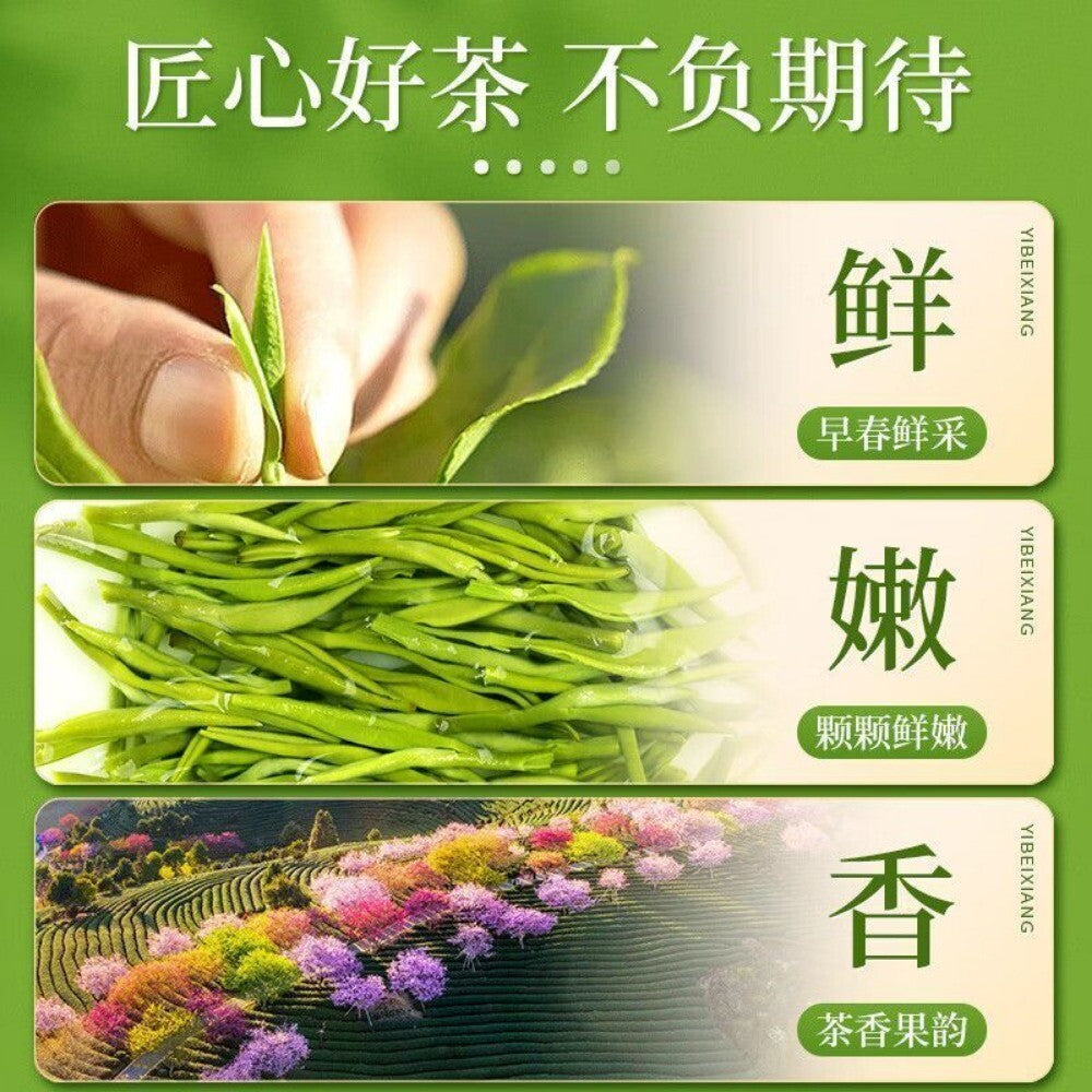 2025 Premium Bi Luo Chun Green Tea Ming Qian First Pick High Mountain
