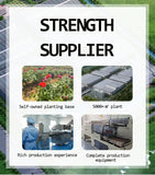 Loose Tea Feminine Womb Detox Tea Wellness Tea Herbs Blend Womb Herbal Fertility