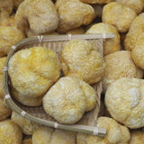 100% Organic Natural Lions Mane Mushroom 250g Hericium Erinaceus Hou Tou Gu 猴头菇