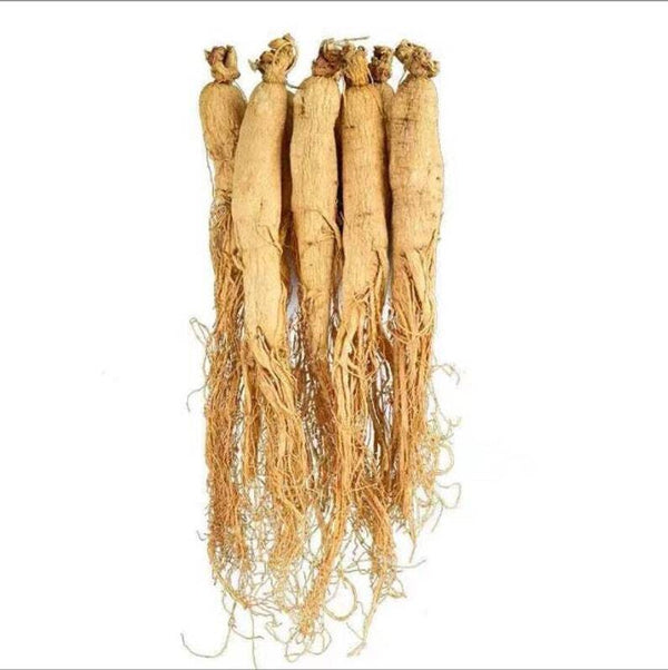 250g Top Quality Dried White Ginseng Roots Ginseng Root White Ginseng Roots