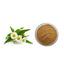 500g Organic Chamomile Extract Powder (20:1)