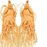 Good for Wine Soaking and Soup Premium Fresh Wild Ginseng from Changbai Mountain