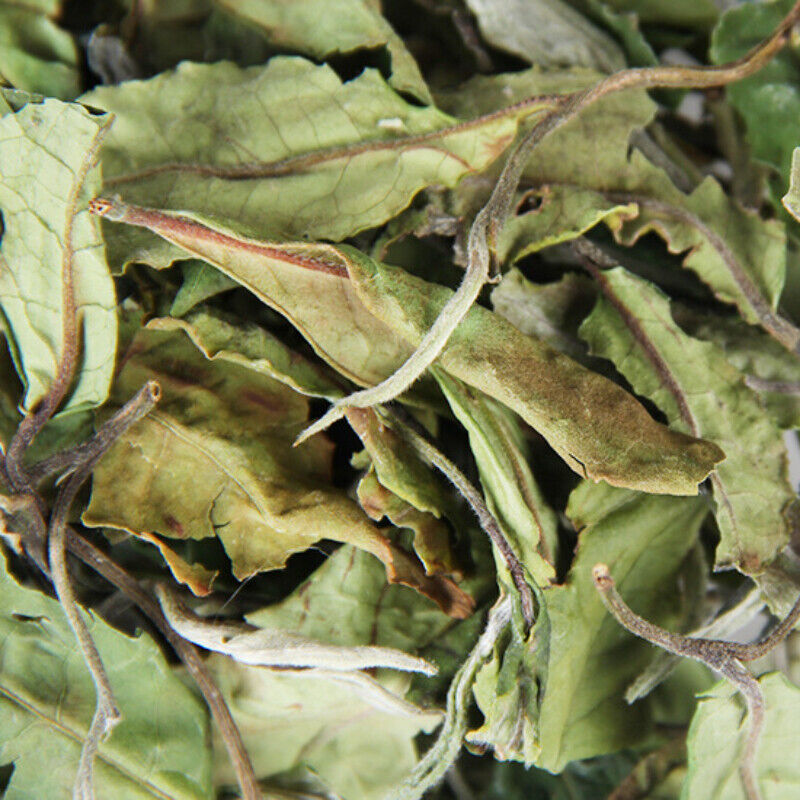 500g Bulk White Tea Top Yunnan Big Leaf Honey Flavour White Tea Health