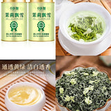 2025 Jasmine Snowfall Guangxi Tea Long Lasting Rich Aroma for Tea Lovers