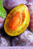 Epsom Fruit & Vegetable Enzyme DrinkDietary Fibre ConcentratePrune Juice