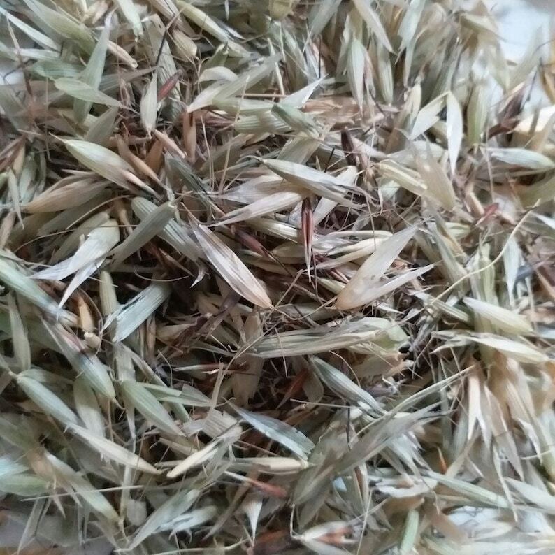 High Quality Organic Dried Herba Avena Fatua, Herb of Wild Oat, Yan Mai Cao Main image