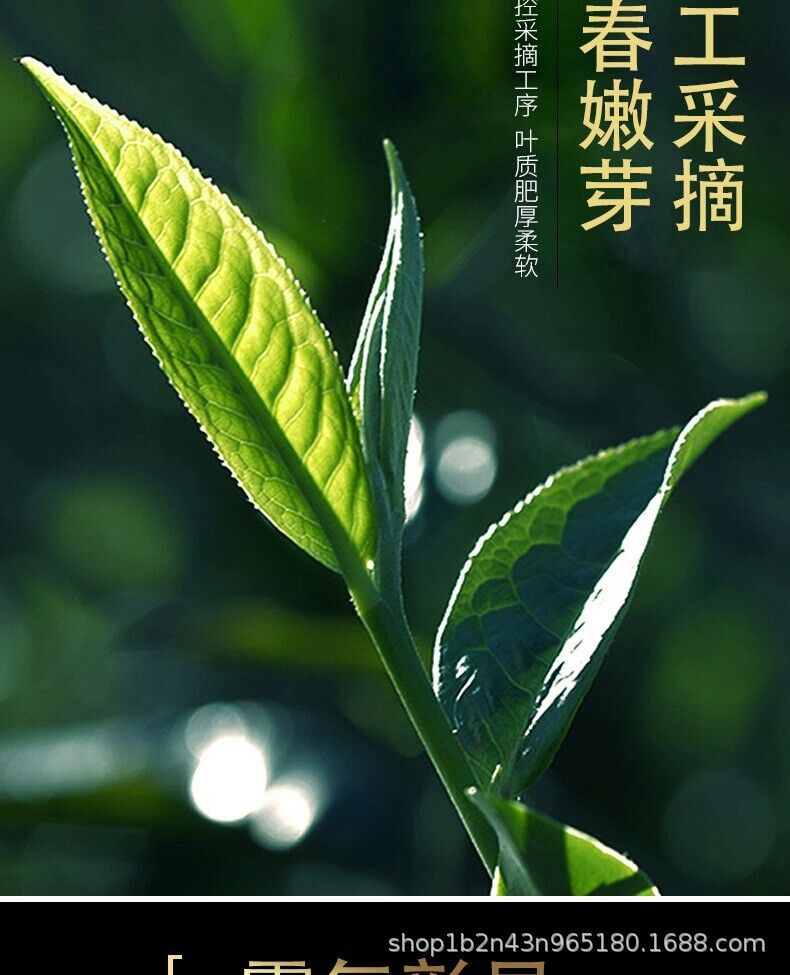 Yunnan Pu'er Tea Raw & Ripe King Banzhang 357g Cake Ancient Tree Cake Tea