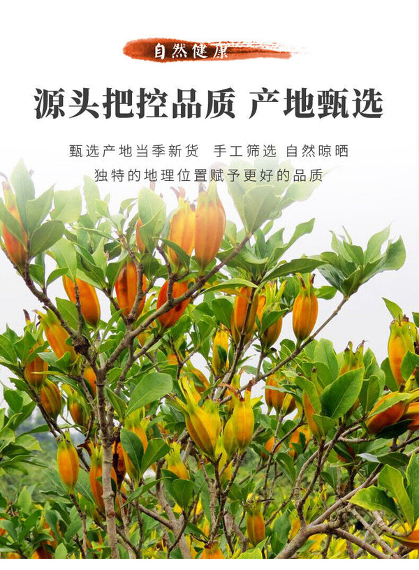 Gardenia Fruit Tea 100g Canned Large Dried Gardenia Herbal Drink for Health