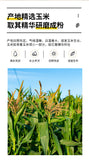 Solid Beverage Rich in Selenium Corn Germ Powder Concentrated Corn Germ Powder