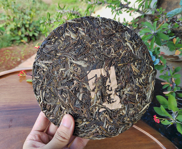 Scraping Walled Pu'er Tea Cake Yiwu Ancient Tree Raw Tea First Spring Yunnan Tea