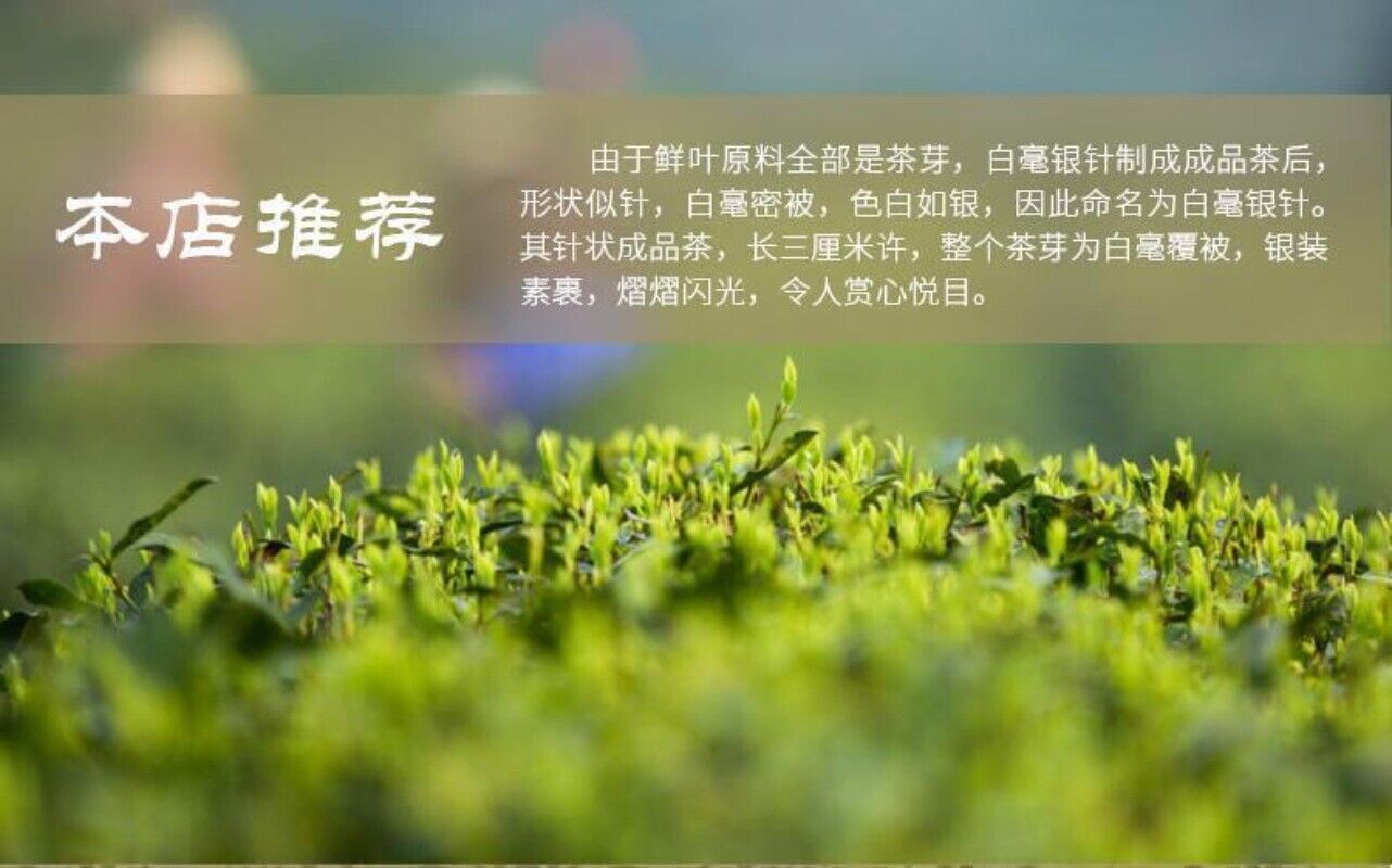 Premium Silver Needle White Tea Chinese Bai Hao Yin Zhen Loose Tea 75g Tin