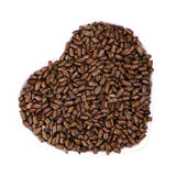 Cassia Seeds Fried Cassia Seeds Tea Infusion Cassia Seed