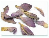 dried lotus flower petals lotus flower lotus dried lotus flower pieces 17.6oz
