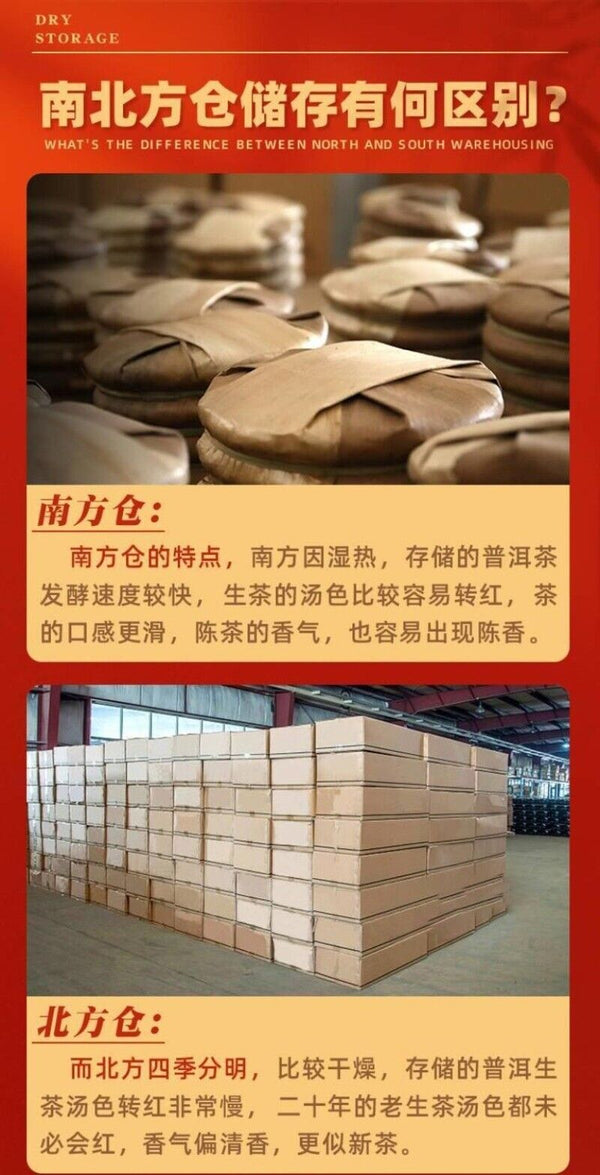Yunnan Authentic Puerh Tea High Quality Yun You Tea Ripe Tuo 100g