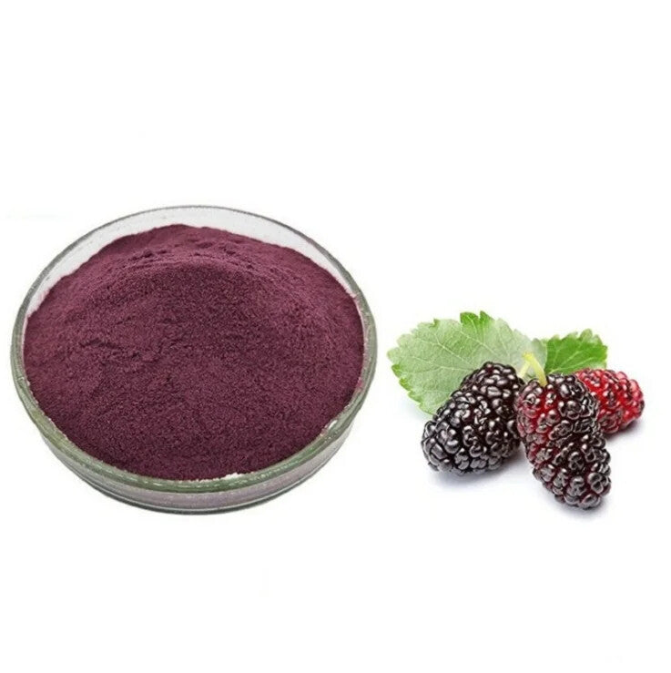 Mulberry Powder Mulberries Fruit Powder Extract ISO Certificate for Drink