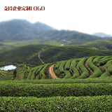 New Tea Tieguanyin Tea Strong Fragrance Anxi High Mountain Origin 250g