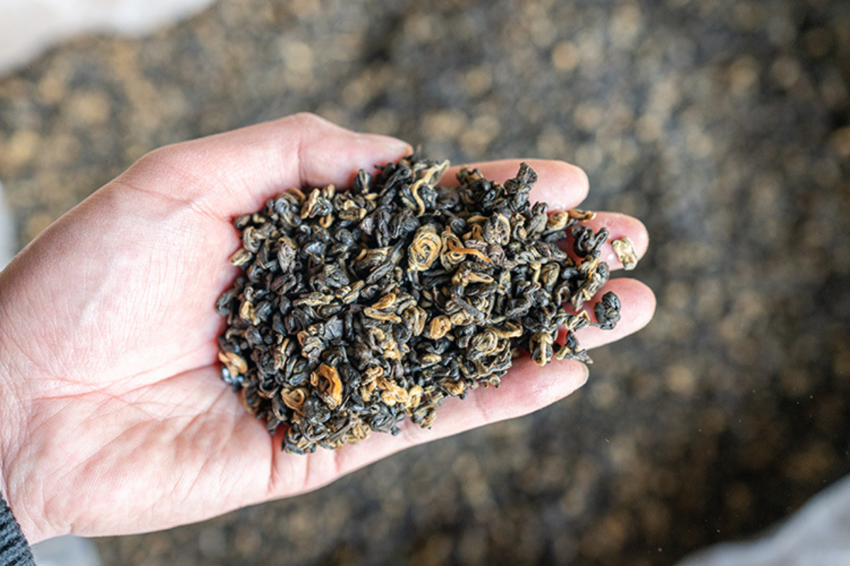 500g Yunnan Ancient Black Tea Golden Silk Golden Snail Fengqing Dian Hong Tea