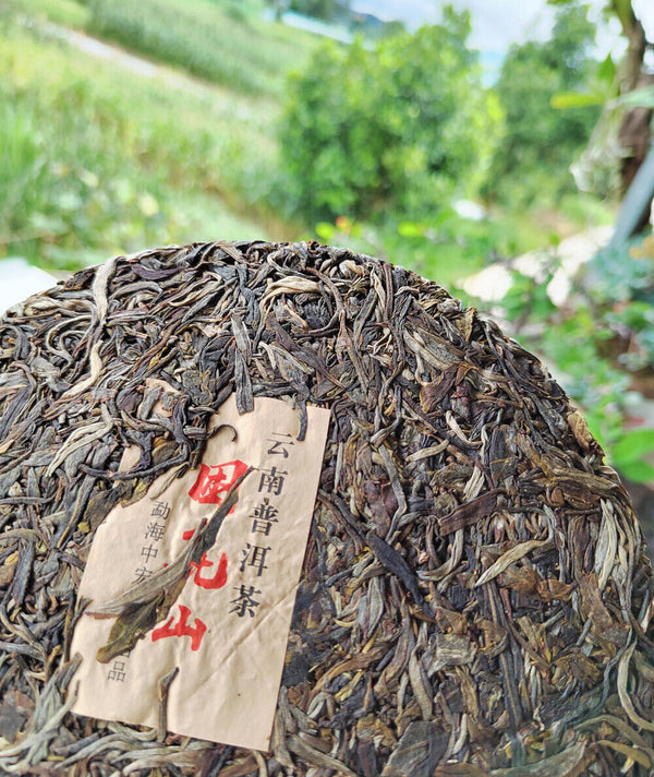 Sleeping Deer Mountain Ancient Tea First Spring Pu'er RawLeaf Tea Cake 12.6oz