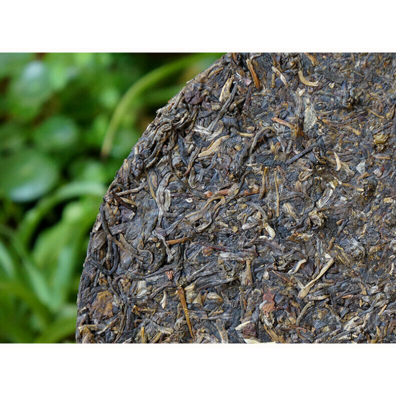 Jiujiu Xiaotai No.6 Qizi Tea Tie Bing PuerChaTea 357g Xiaguan Inheritance