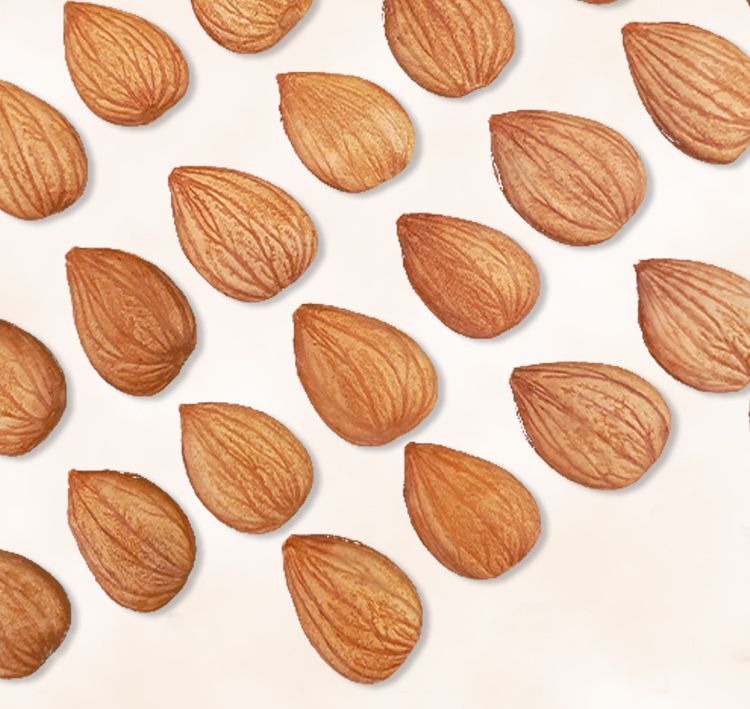 Roasted Sweet Almonds Shelled Natural Large Size Nutritious Snacks 100g Can