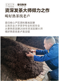 357g Yiku Xigui First Spring Ancient Large Leaf Seeds Aged Pu'er Ripe Cake Tea