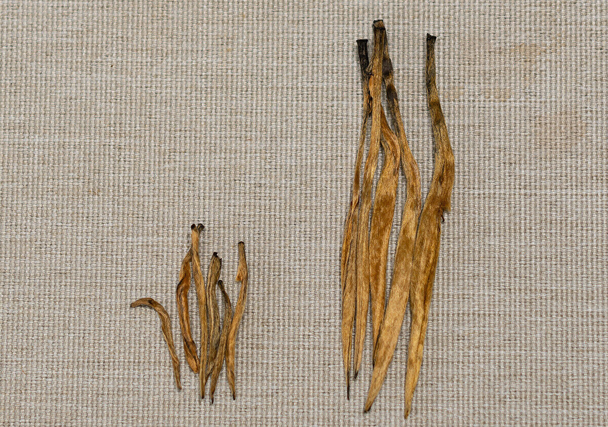 500G Yunnan Black Tea Mini Gold Needle Fengqing Dian Hong Tea Small Gold Needle