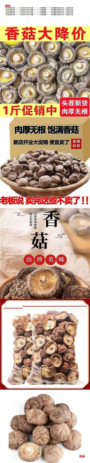 Wild Shiitake Mushrooms Dried Wholesale Bulk Fresh Aroma Cooking Ingredients