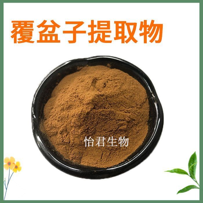 Premium Raspberry Extract 20:1 Raspberry Powder Concentrate