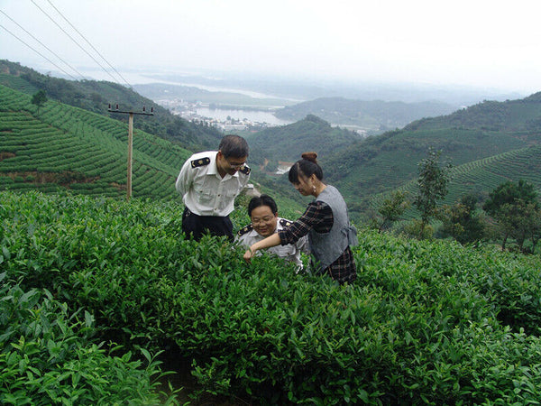 TeaBlack Tea Chinese Tea 357g Yunnan Ripe Pu-Erh Organic Puerh Tea Cake Lose Weight