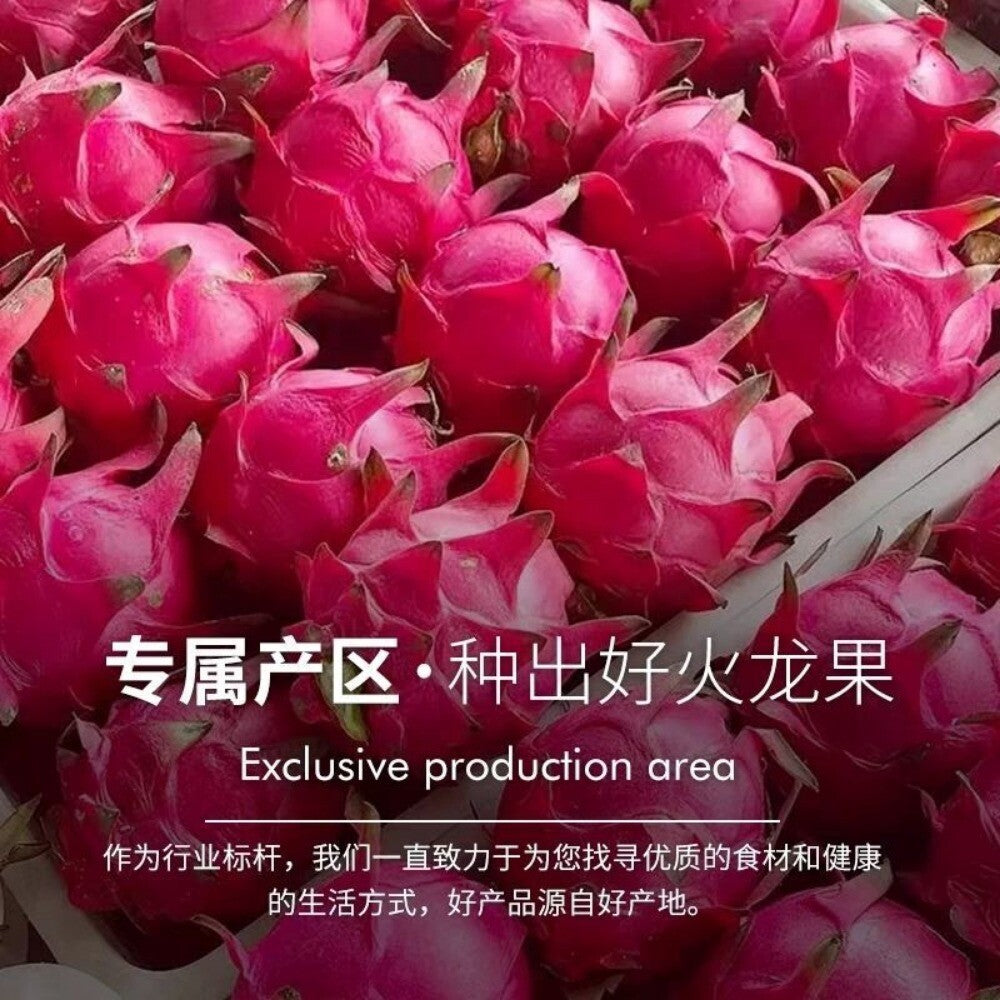 Dragon Fruit Powder Natural Vegan Food Coloring for Ice Cream Baking Drinks Pink