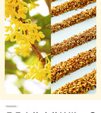 25g Blütentee Osmanthus Tee getrockneter Osmanthus Spezialität Dosen Blumen Tee