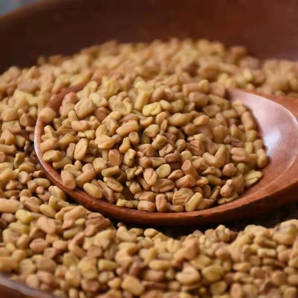 Organic Fenugreek Seeds (8.8 OZ) - Gluten Free , Non-GMO Fresh Methi Seeds Whole Main image
